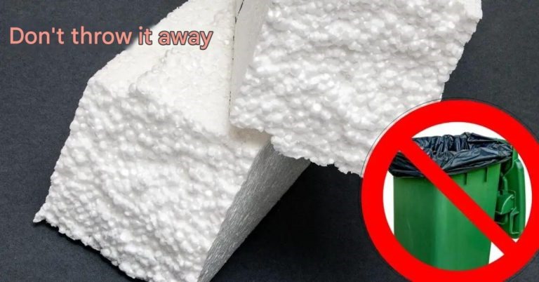 Leftover Styrofoam
