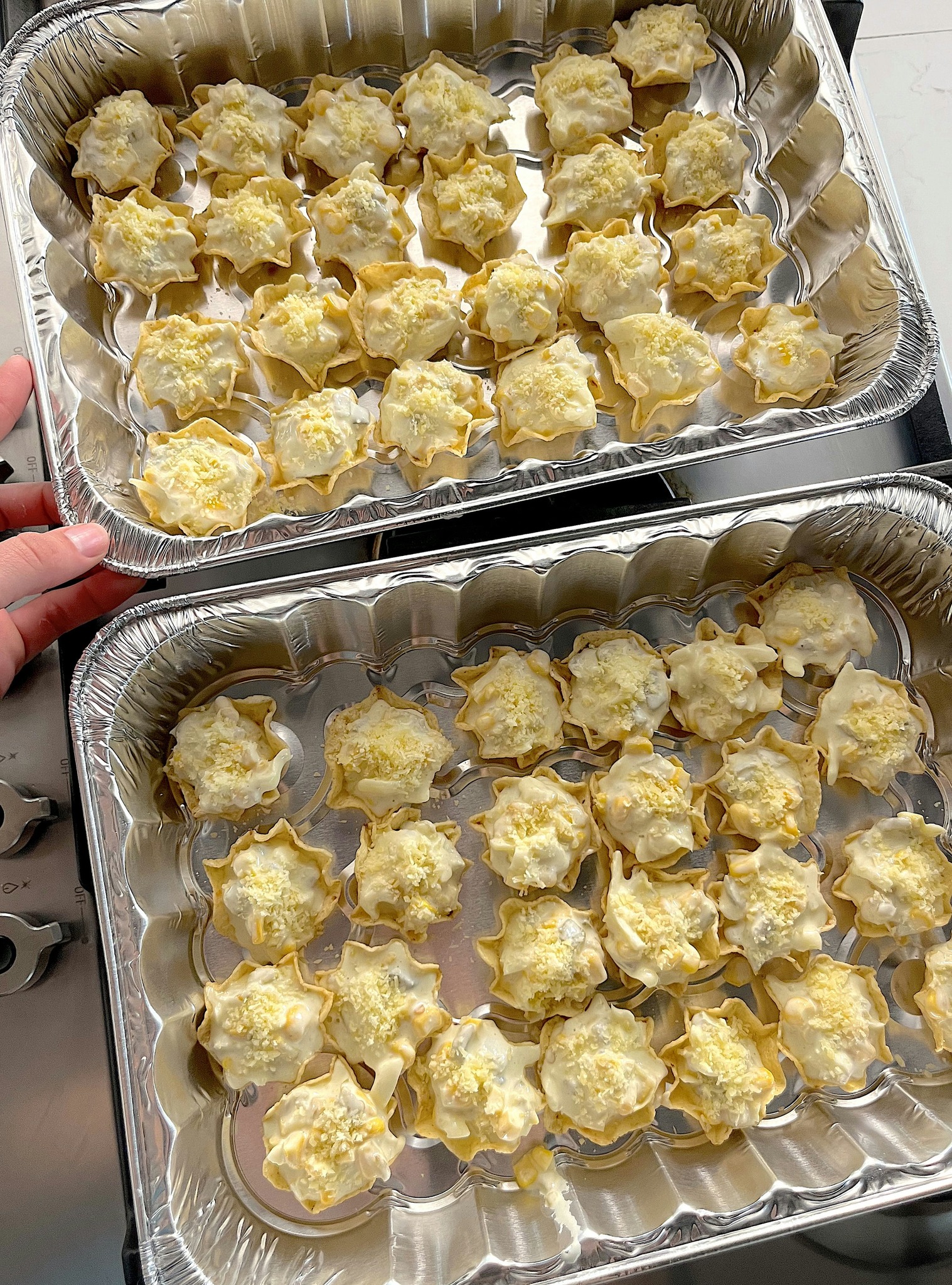 Iowa Party Bites