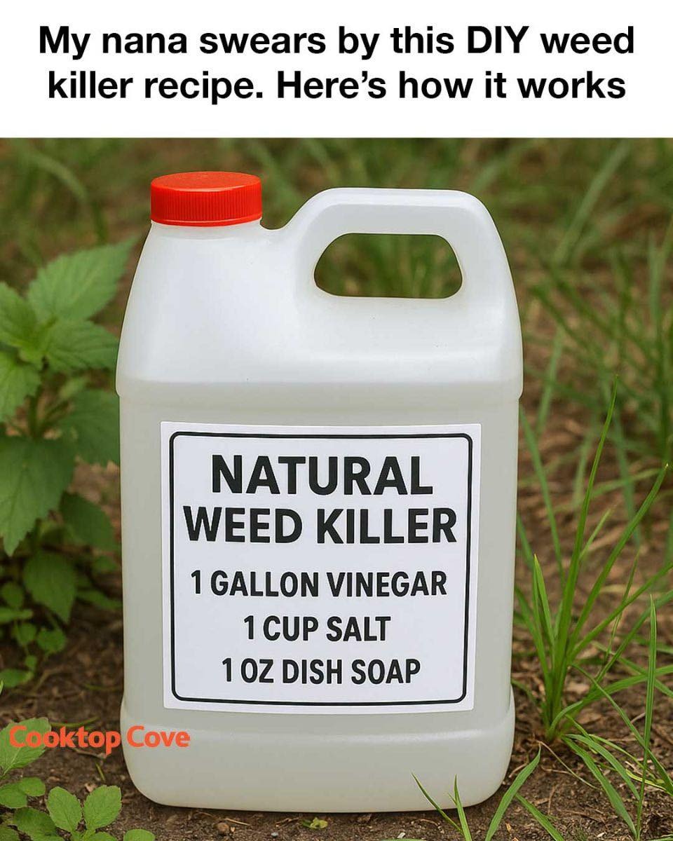 My Nana Swears by This DIY Weed Killer Recipe: Here’s How It Works
