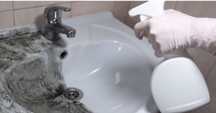 How to Make a DIY “Anti-Mushroom” to Eliminate Mold from the Bathroom