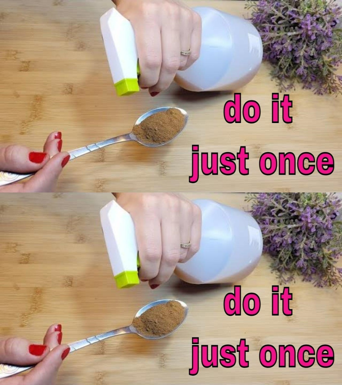 The Potent Natural Method to Keep Flies, Mosquitoes, and Other Insects Away from Your Home
