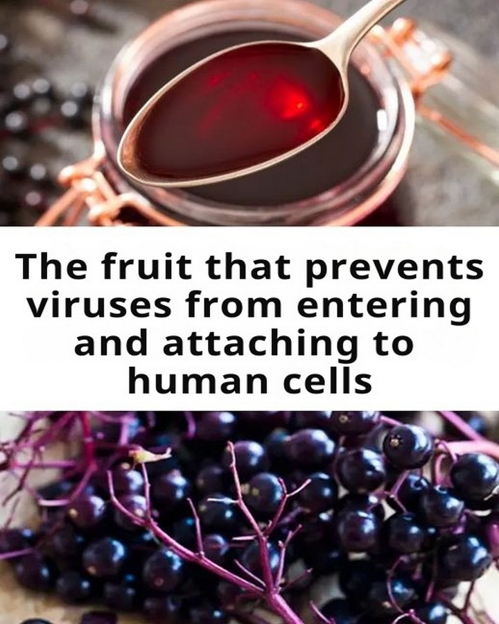 The fruit that prevents viruses from entering and attaching to human cells