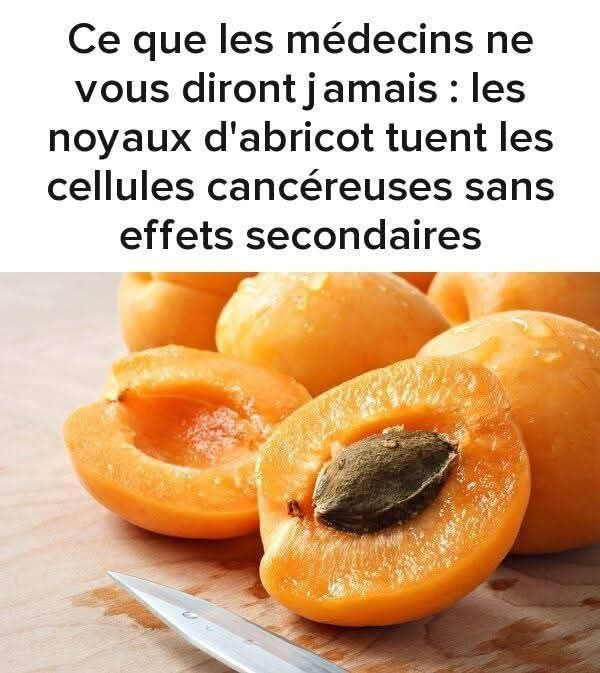 What Doctors Will Never Tell You: Apricot Kernels Kill Cancer Cells Without Side Effects
