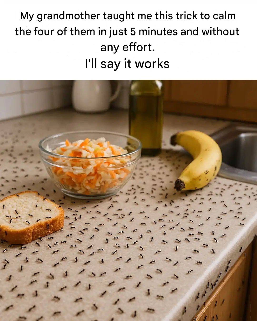 Grandma’s tip: Get rid of ants naturally and without poison
