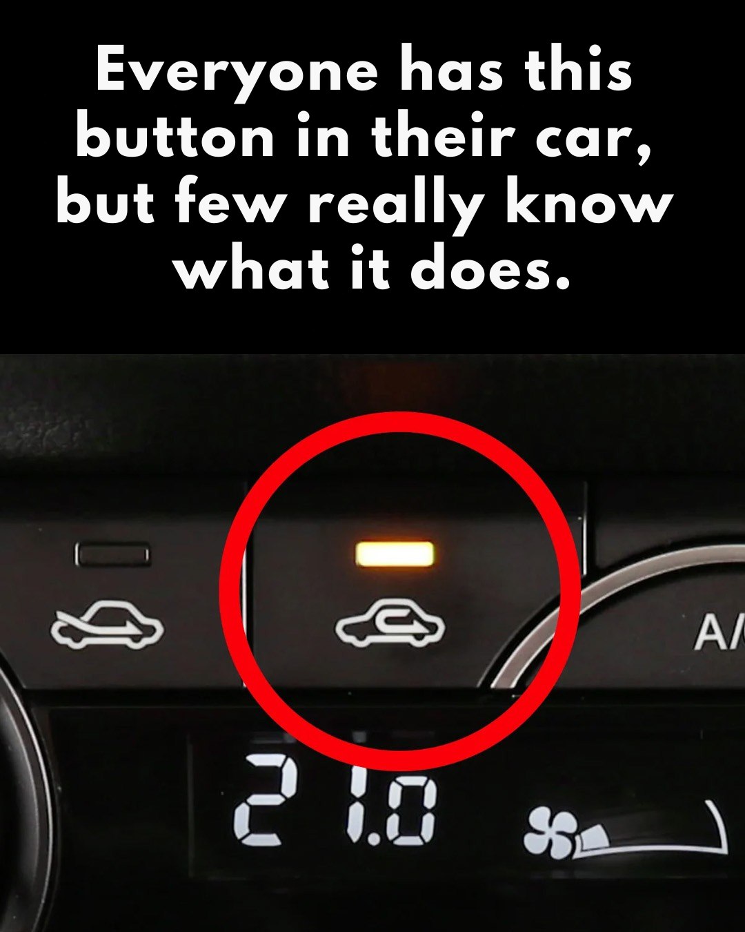 What is this button in the car for?