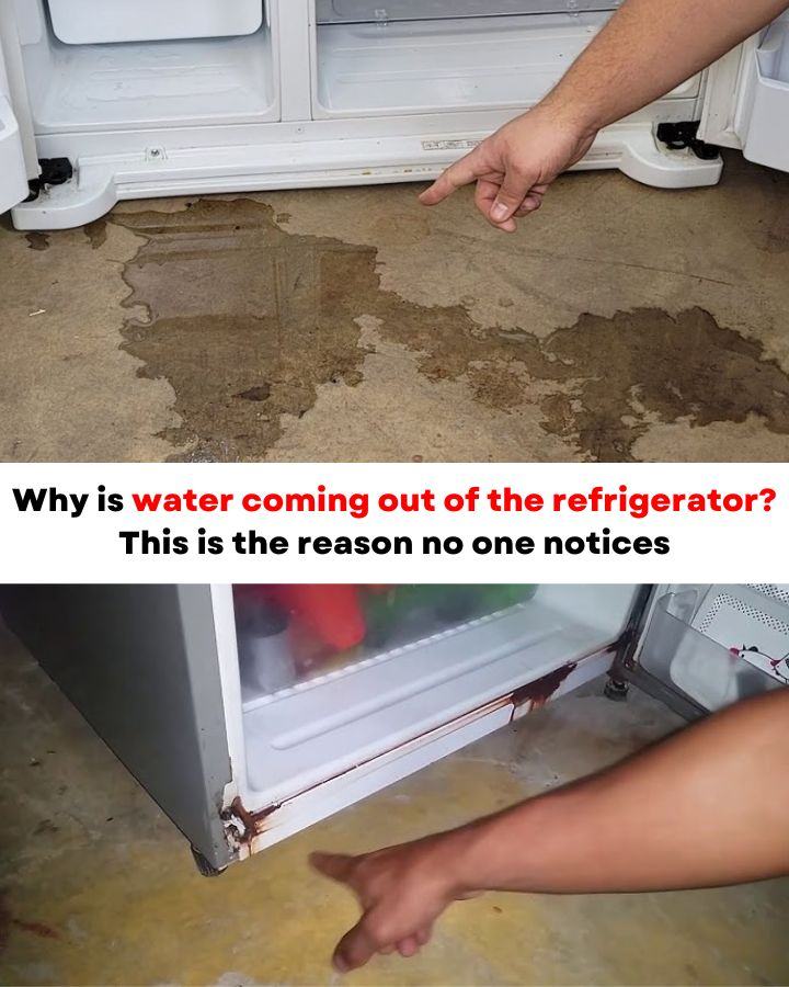 Why is water coming out of the refrigerator? This is the reason no one notices