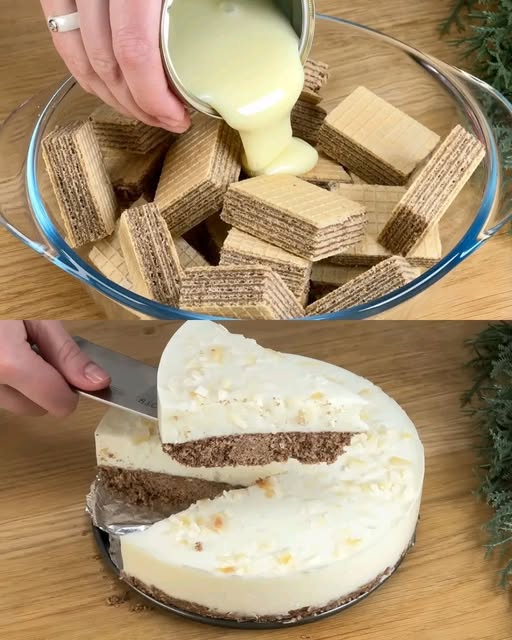 No-Bake Chocolate Wafer and Cottage Cheese Cake