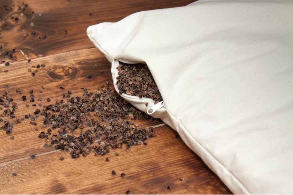 A handful of tiny, dark, seedlike objects kept showing in roommate’s bed.