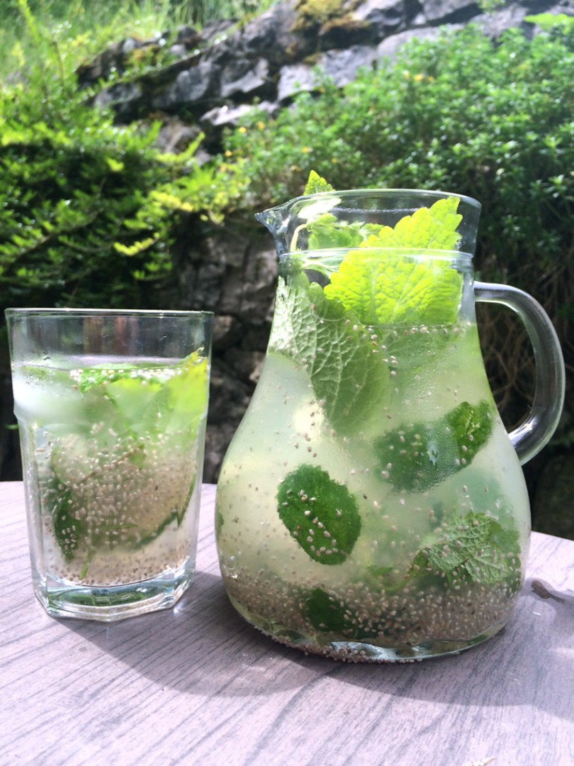 Lemon balm iced tea with basil seeds
