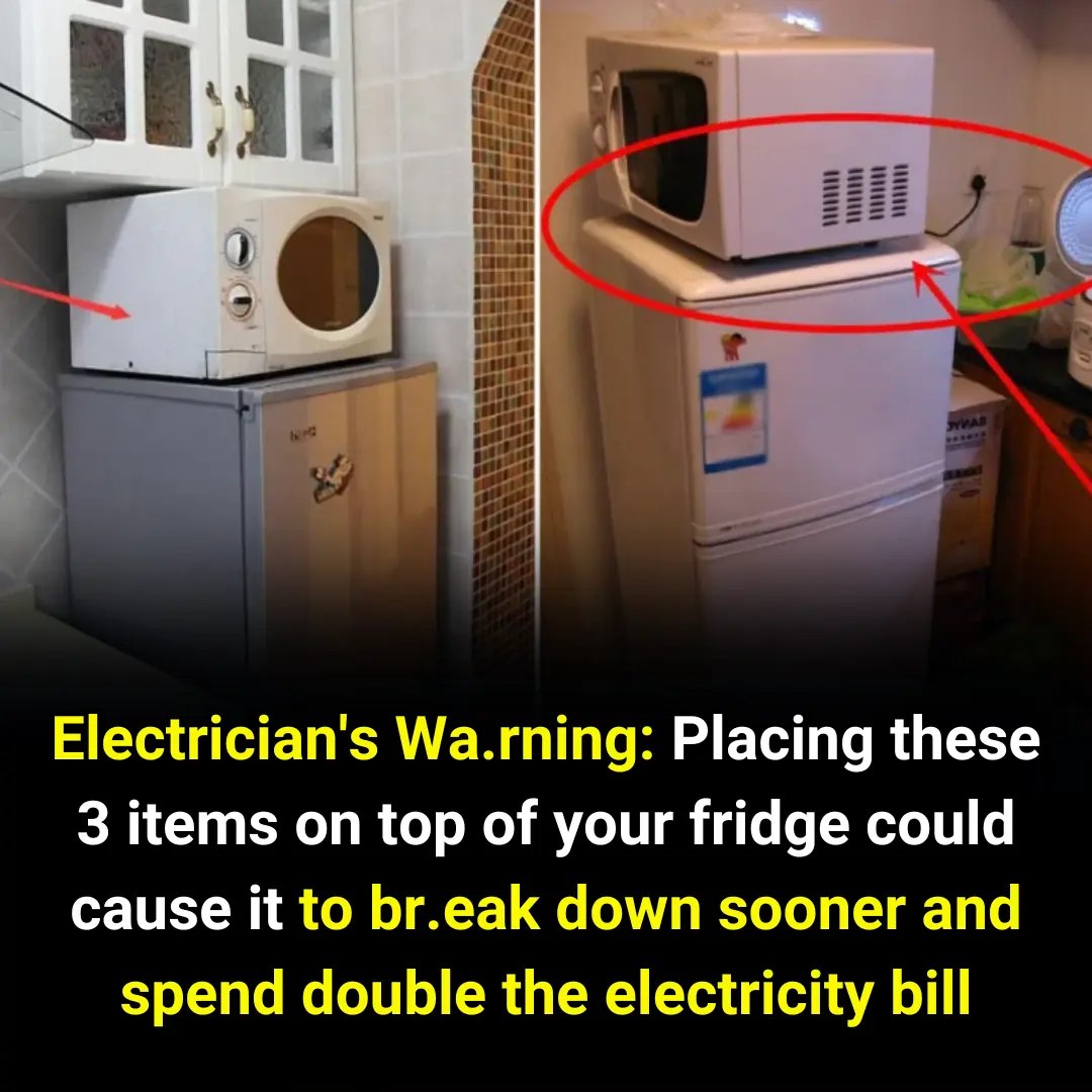 3 things you should never place on top of your refrigerator