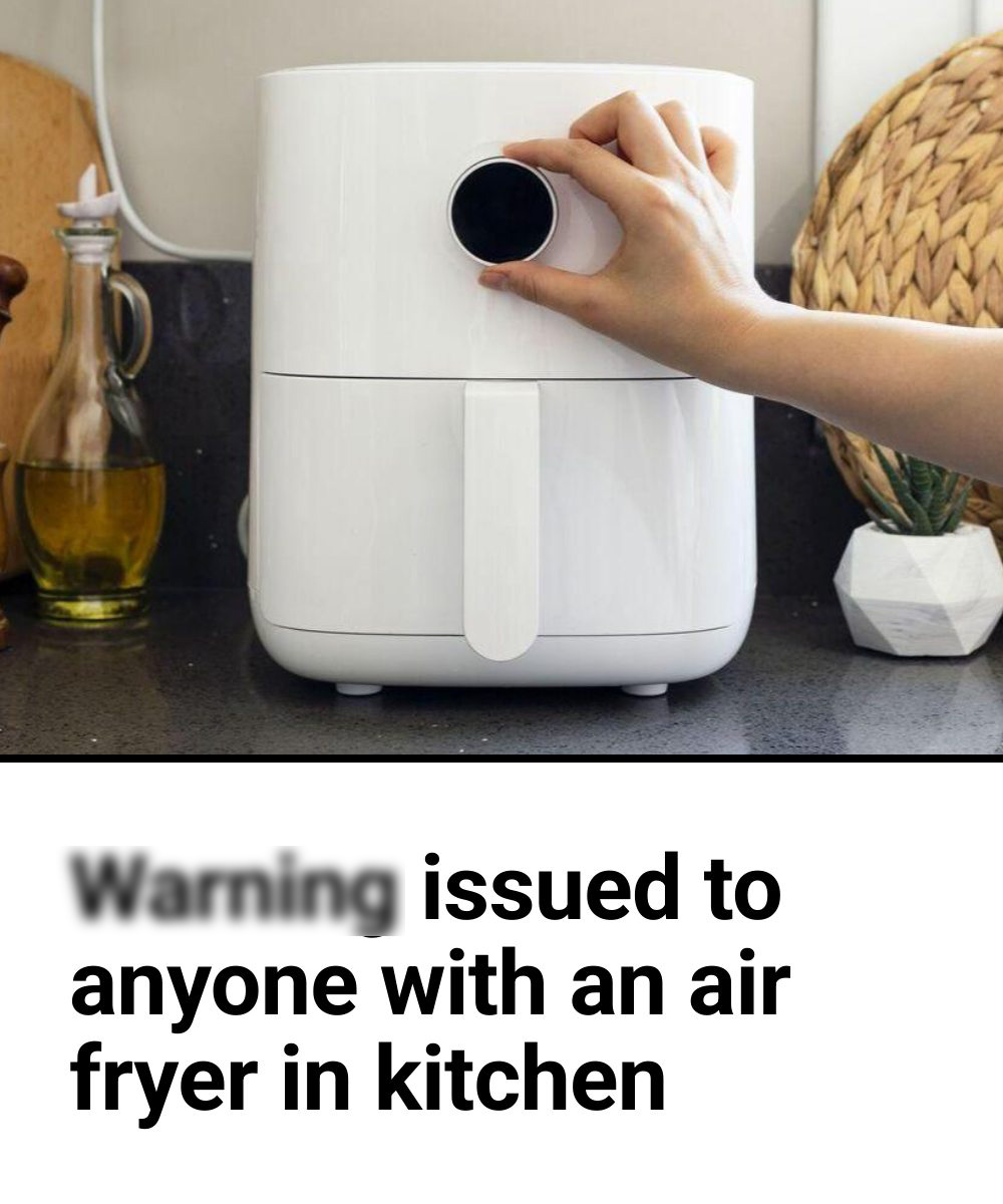 W.arning issued to anyone with an air fryer in kitchen