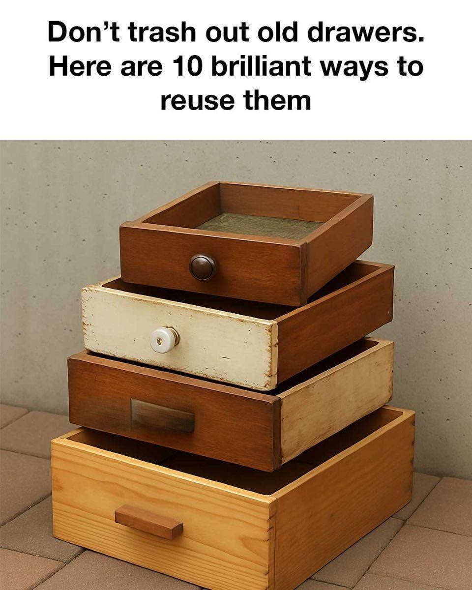 Don’t trash out old drawers. Here are 10 brilliant ways to reuse them.