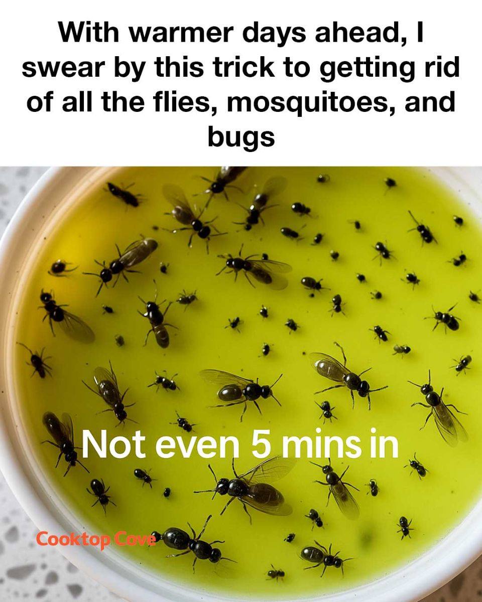 Wish I saw this hack sooner!