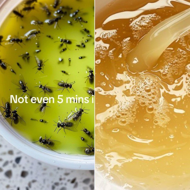 With warmer days ahead, I swear by this trick to getting rid of all the flies, mosquitoes, and bugs.