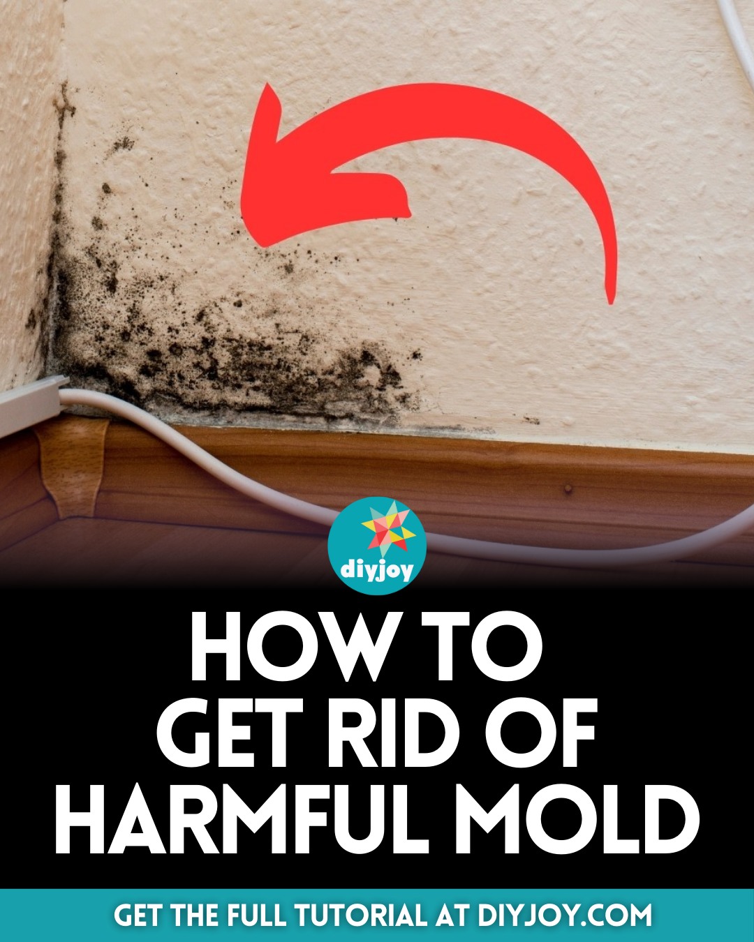 How to Get Rid of Harmful Mold