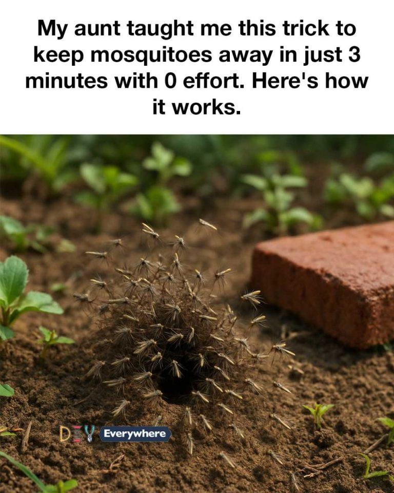 Had no idea about this