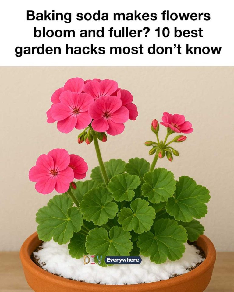 Baking soda makes flowers bloom and fuller? 10 best garden hacks most don’t know