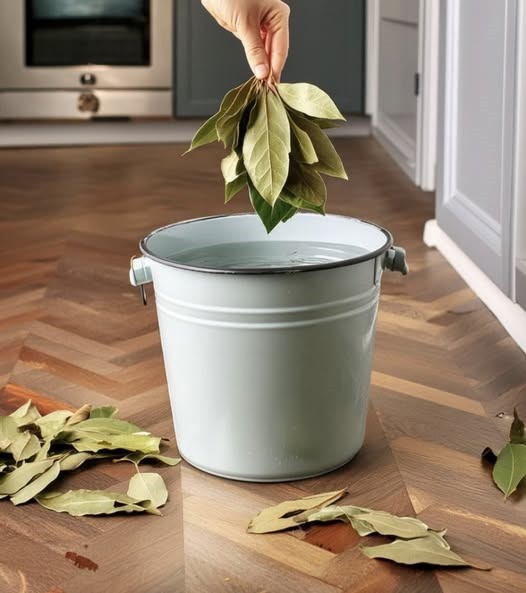 Lorber’s Secret: Add Bay Leaves to Floor Washing Water and See the Amazing Effects No One Tells You About!