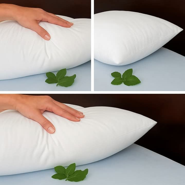 What Our Grandmothers Knew: Why They Put Bay Leaf Under Their Pillows
