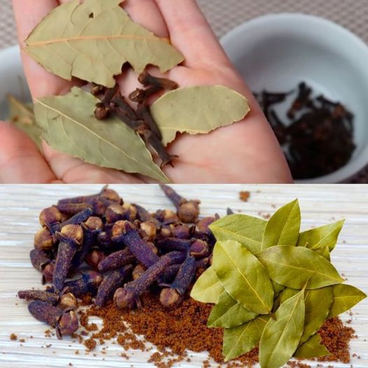 Bay Leaf & Clove Tea Recipe To Fight Joint Pain and Inflammation
