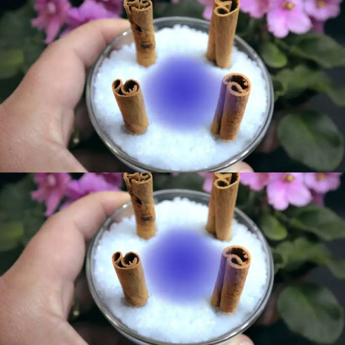 Place 4 cinnamon sticks in salt and watch what happens in 10 minutes.
