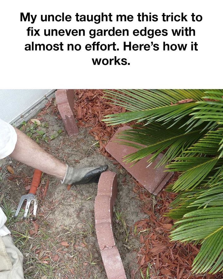 Whoa, did not know this! Neat