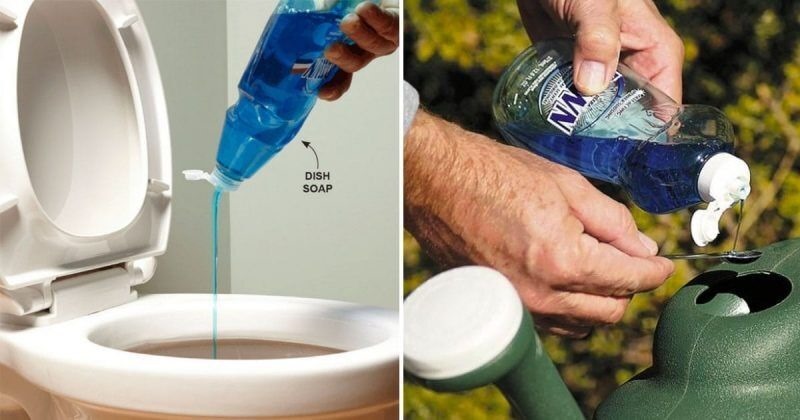 Surprising Frugal Uses Of Dawn Dish Soap
