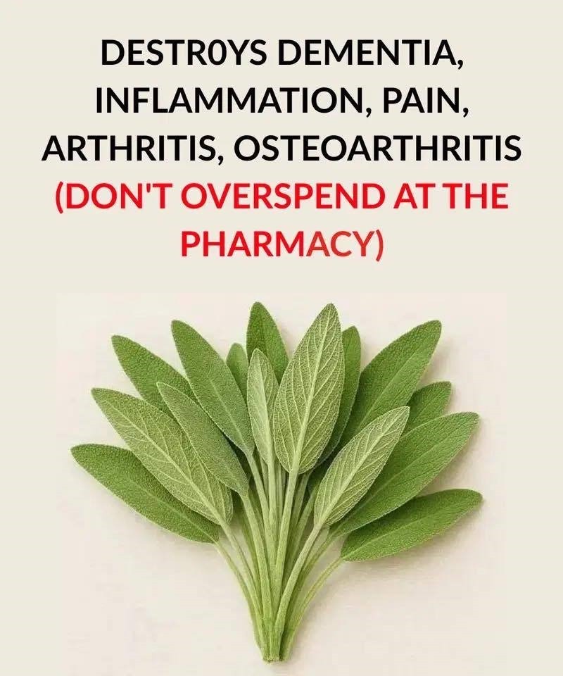 A Natural Remedy for Brain Health, Inflammation, and Joint Pain