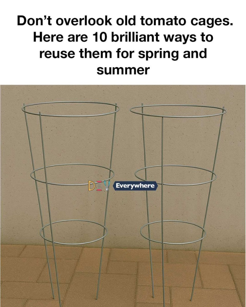 Don’t overlook old tomato cages. Here are 10 brilliant ways to reuse them for spring and summer