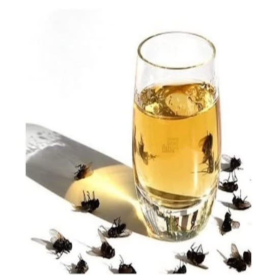 An Old Trick That Eliminates Flies and Cockroaches from the House Naturally