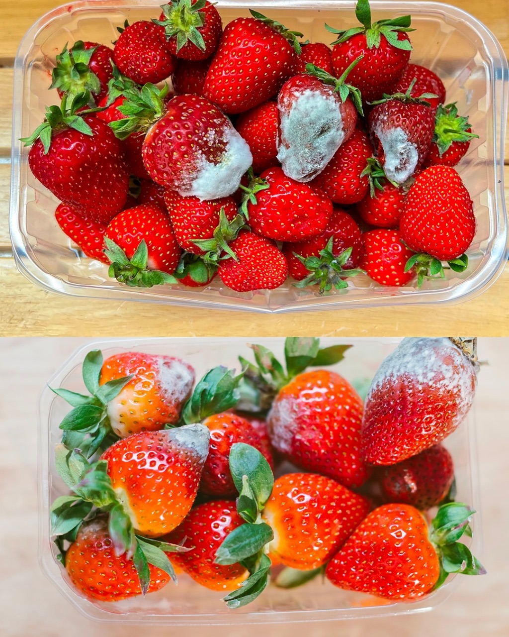 All the secrets to preserving fresh strawberries for longer: effective methods