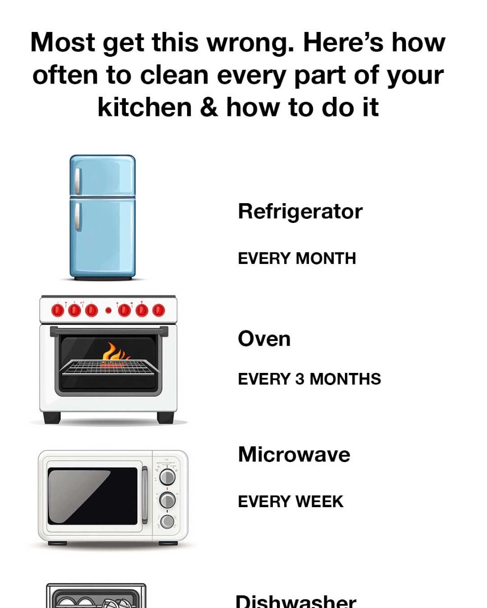 Most get this wrong. Here’s how often to clean every part of your kitchen & how to do it