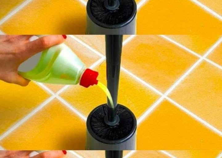 Putting Detergent on the Toilet Brush: The Favorite Trick of Experienced Housewives