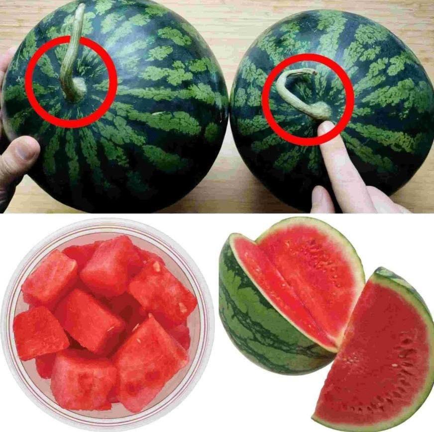How to Pick the Perfectly Sweet Watermelon: Tips for a Juicy and Flavorful Fruit