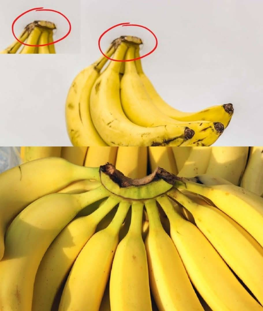 Never Throw Away This Part of the Banana: Here’s Why It’s Loved at Home