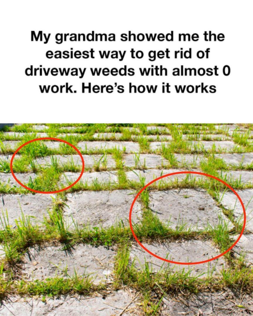 My Grandma Showed Me the Easiest Way to Get Rid of Driveway Weeds with Almost Zero Work — Here’s How It Works