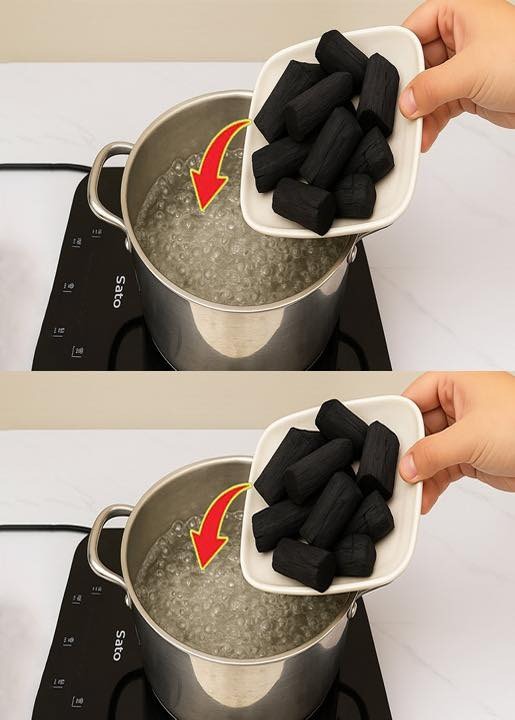 >Thousands of People Still Don’t Know This Secret: Boil Charcoal and Start Making Money from It