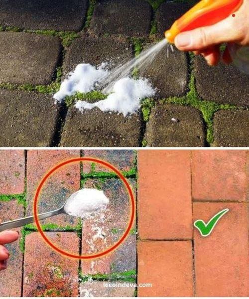 The Best Solution Against Moss on Your Driveway and Terrace – Just 15 Minutes!