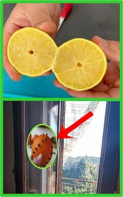 A brilliant trick: Annoying insects will not enter your house even with the windows open