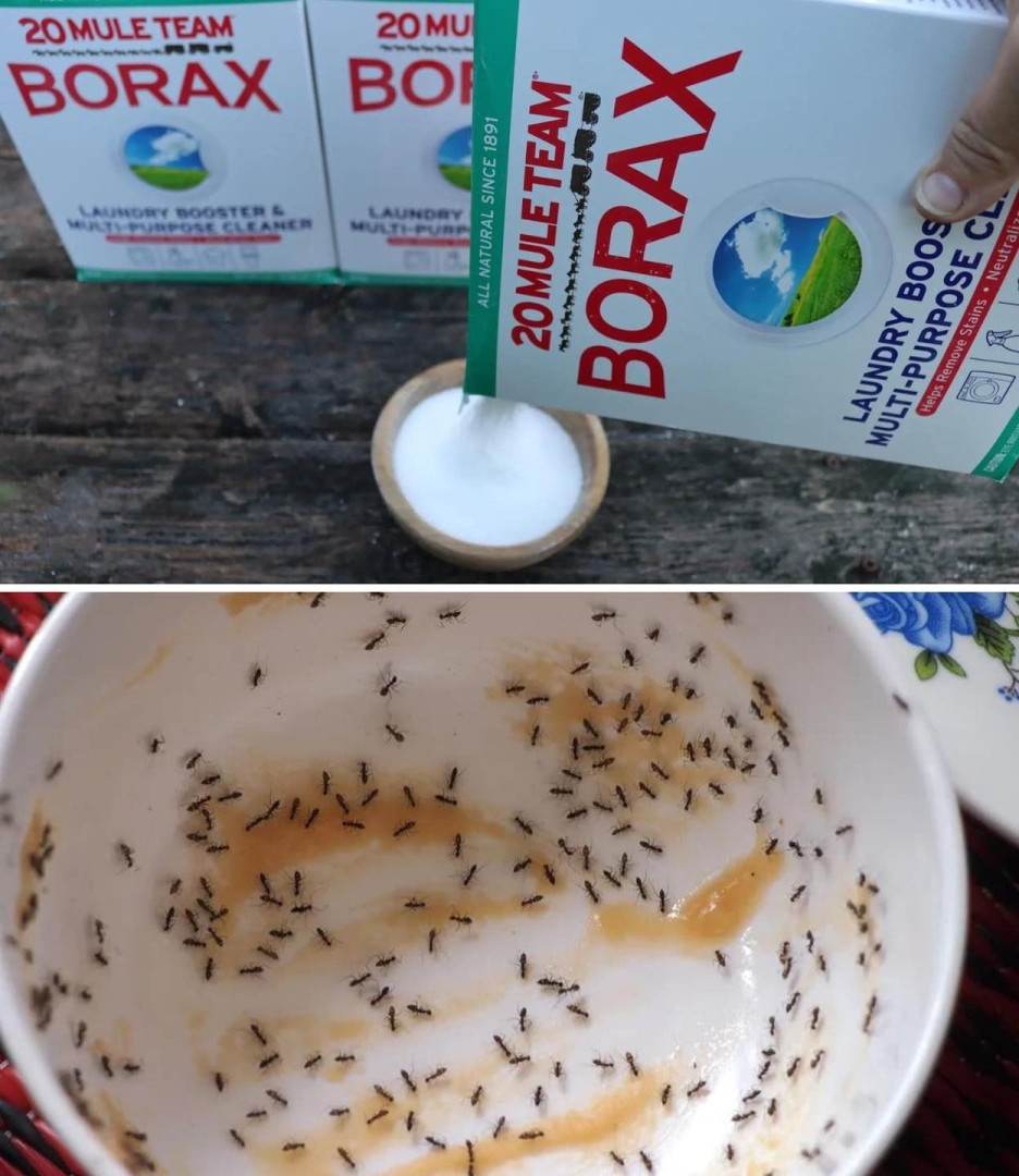 15 Ways To Use Borax You’ve Probably Never Even Thought Of
