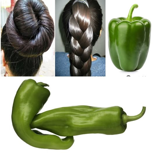 The Indian Secret to Grow Hair at Rocket Speed and Treat Baldness from the First Week: Green Pepper