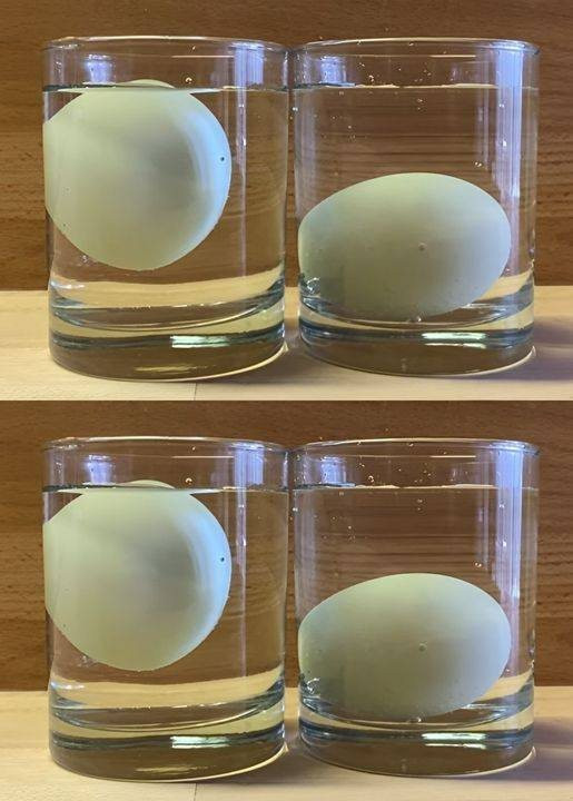 5 ways to tell if an egg is fresh or rotten