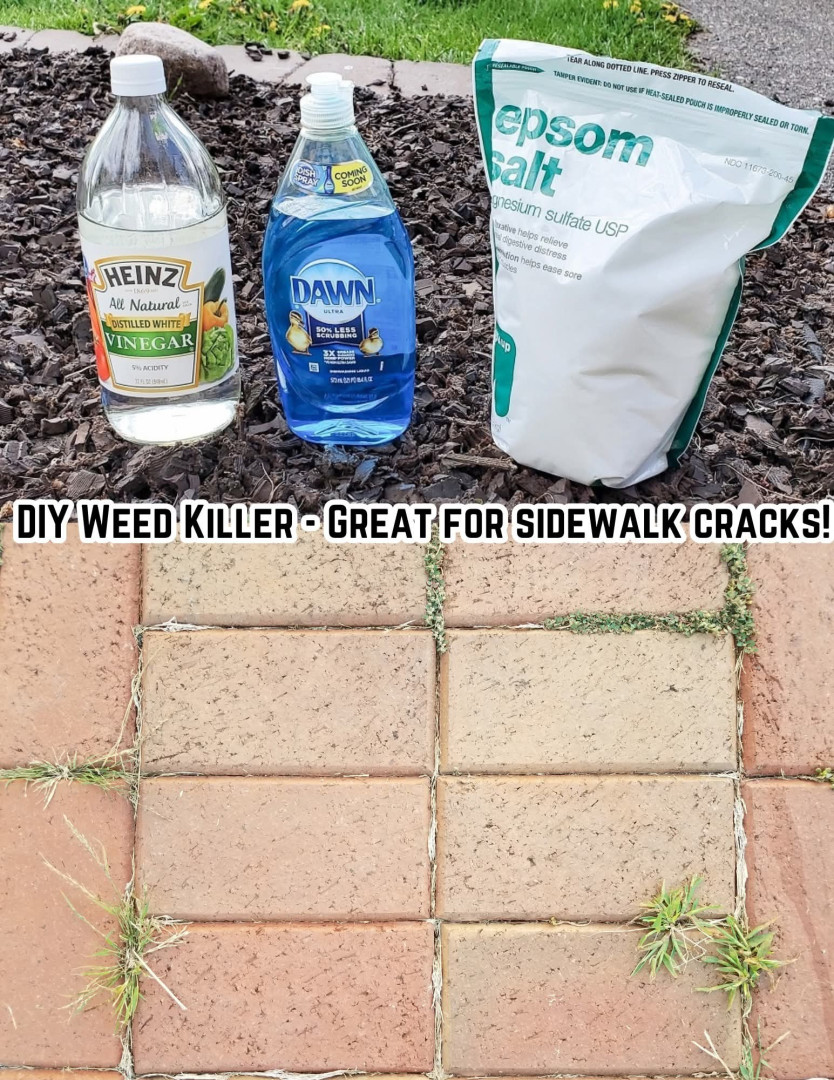 How to Make 3-Ingredient Natural Weed Killer