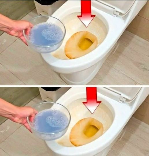 This powerful and natural blend eliminates all stains and the smell of urine