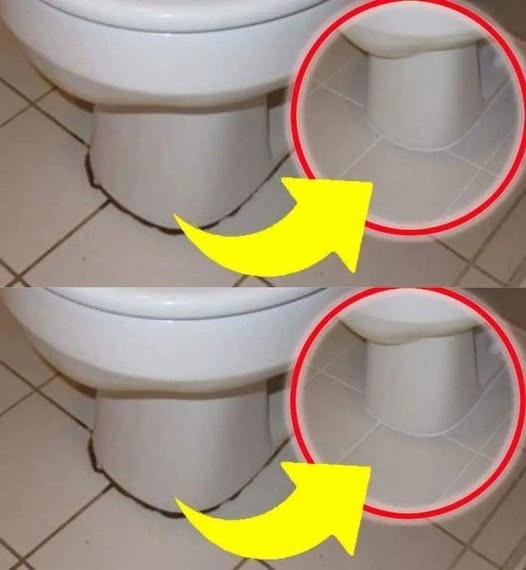 Black circle around toilet, you won’t get rid of it unless you do this | I have never had a bathroom