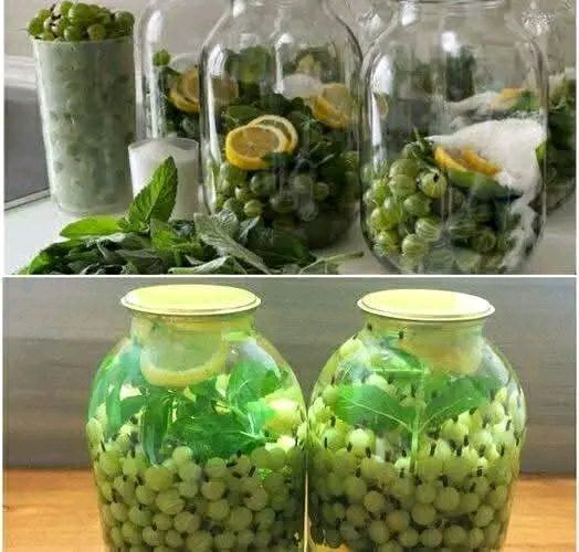 Even if you close 100 cans, it still won’t be enough. Delicious green gooseberry mojito